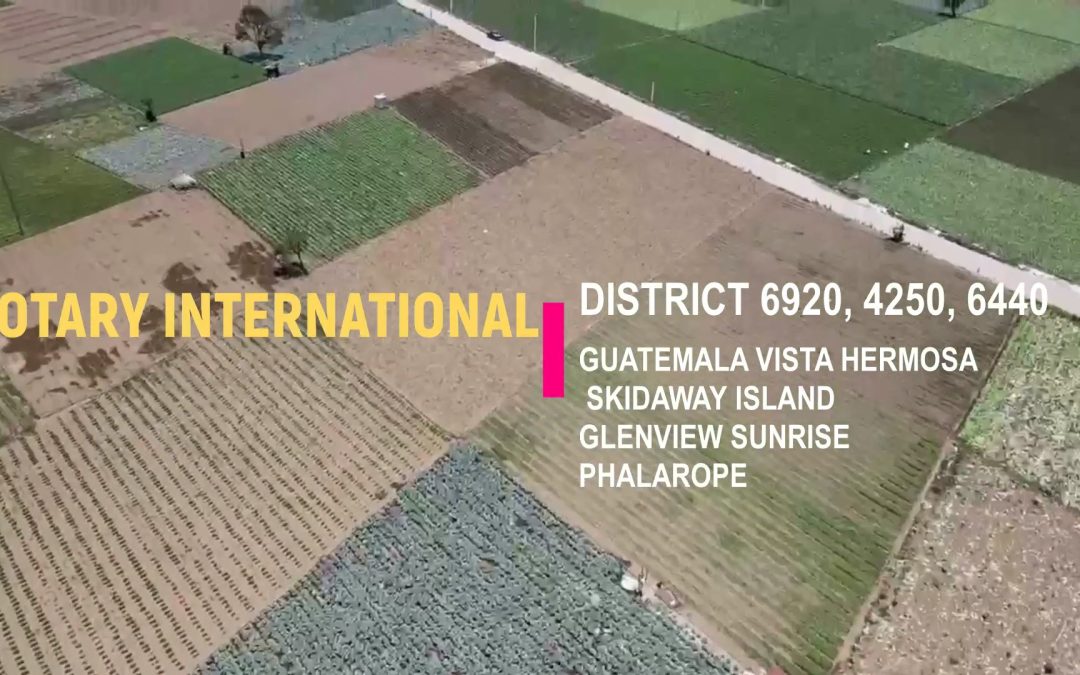 D6920 Hydroponics Global Grant